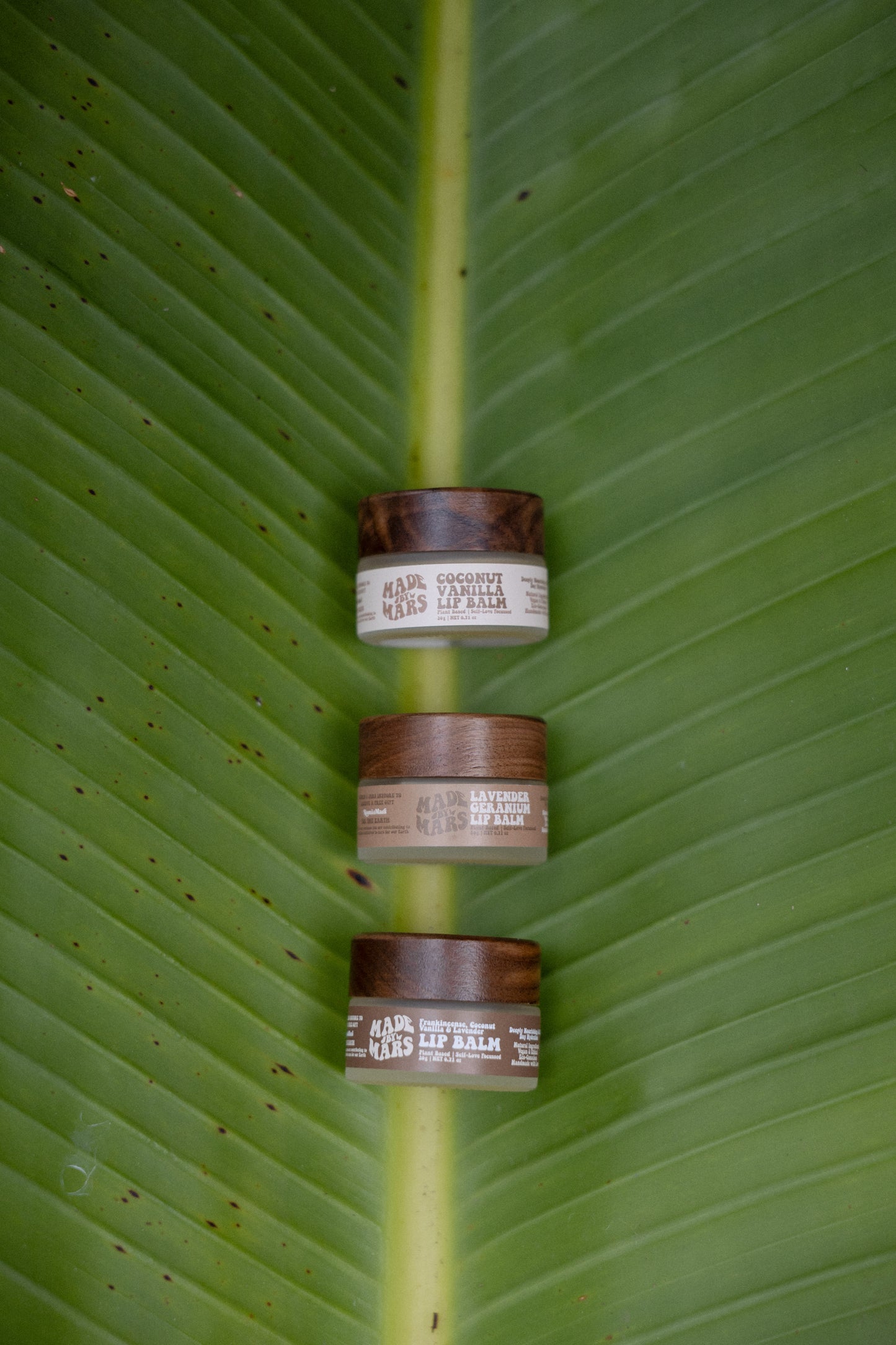 Vegan Lip Balm - Lavender & Geranium