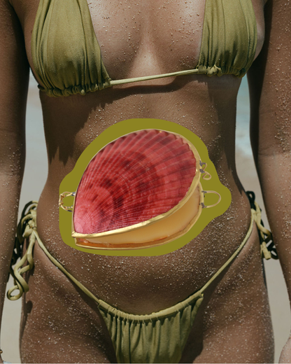 Natural Perfume Balm in Shell - Vanilla, Sandalwood & Rose